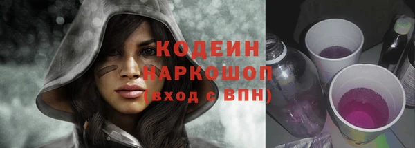 метадон Няндома