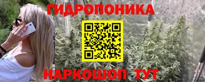 spice Партизанск