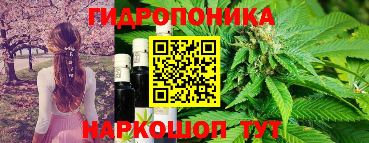 Канабис White Widow  Бошки Шишки LSD WEED  Вход с VPN  Канабис семена  Похвистнево 